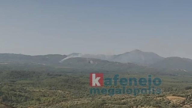 Συναγερμός για πυρκαγιά σε δασική έκταση στο Λεοντάρι Αρκαδίας – Επιχειρούν ισχυρές δυνάμεις
