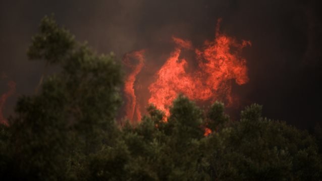 Φωτιά στη Γορτυνία: Μεγάλη αναζωπύρωση στο Λιβαδάκι - Πάνω από 10 χιλιόμετρα το μέτωπο