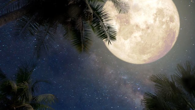 Ζώδια: Έκλειψη Σελήνης και Πανσέληνος στον Υδροχόο στις 7 Αυγούστου
