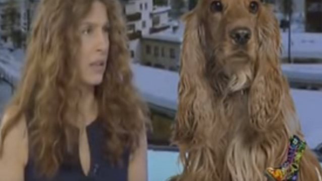 Ράδιο Αρβύλα: Το ξεκαρδιστικό σχόλιο για την Πόπη Τσαπανίδου: Δείτε το!