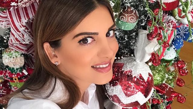 Σταματίνα Τσιμτσιλή: Δείτε το χριστουγεννιάτικο δέντρο με τα στολίδια που έφτιαξαν οι κόρες της!