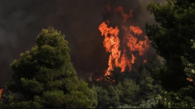 Νέα φωτιά στη Εύβοια: Ξέσπασε σε δασική έκταση στις Πετριές - Πνέουν ισχυροί άνεμοι [εικόνες]