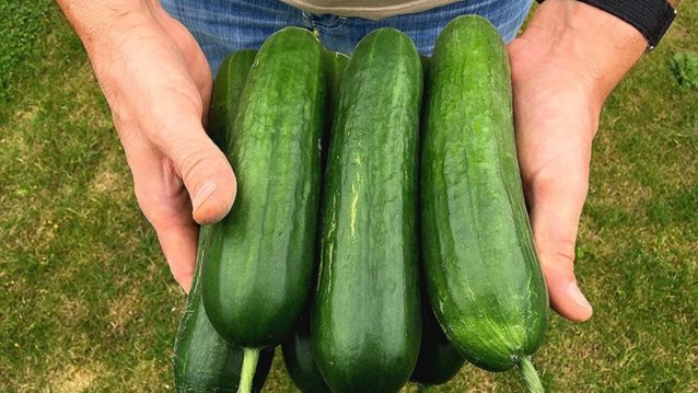 Στύση στη στιγμή: Κι όμως επιστήμονες δημιούργησαν ένα gel δυναμίτη!
