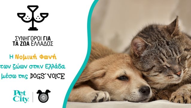 Τα Pet City υπερήφανος χορηγός της πρωτοβουλίας "Συνήγοροι για τα Ζώα Ελλάδος".
