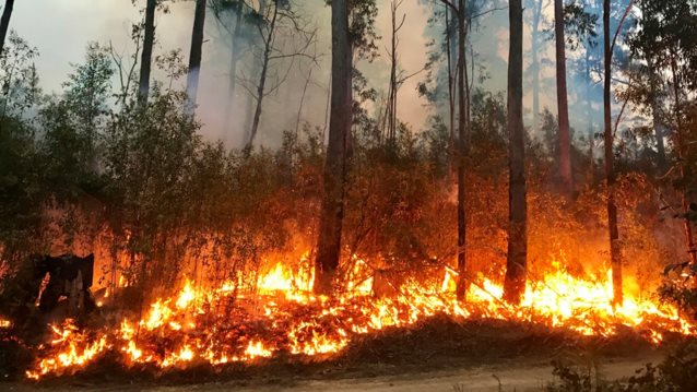 Φωτιά στην Κερατέα: Επιχειρούν 13 οχήματα και 4 αεροσκάφη - Κοντά σε οικισμό - Πνέουν ισχυροί άνεμοι