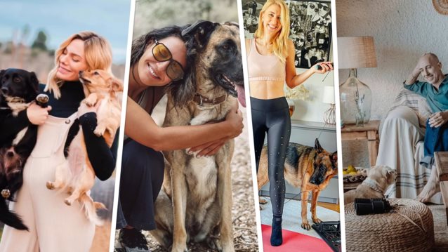 Ευγενία Σαμαρά, Ιωάννα Μαλέσκου, Φάνης Παυλόπουλος &amp; Μυρτώ Κάζη βρήκαν τον δικό τους... petchef!