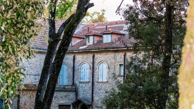 Τατόι: Αυτές είναι οι βασιλικές άμαξες που βρέθηκαν στο παλαιό Ανάκτορο