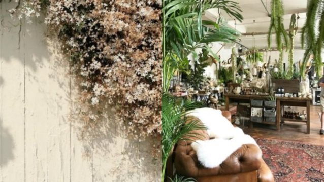 Instagram: 7 λογαριασμοί που πρέπει να ακολουθήσεις αν αγαπάς τα φυτά