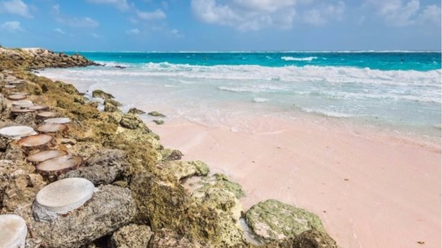 Οι 9 πιο εντυπωσιακές ροζ παραλίες στον κόσμο
: Μοιάζουν σαν να βγήκαν από παραμύθι!
