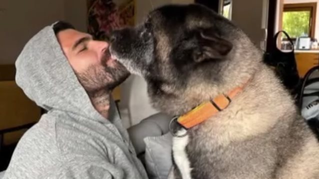 Δημήτρης Αλεξάνδρου: "Η απώλεια του Zeus είναι ένα πολύ δύσκολο κομμάτι - Είναι το πρώτο μου παιδί"