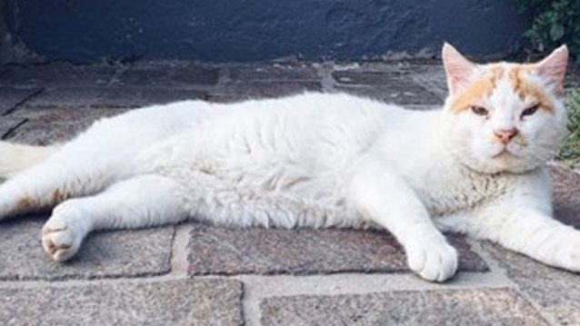 Instagram: Αυτά είναι τα πιο δημοφιλή hashtags: Τι σημαίνουν;