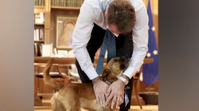 Η πρώτη guest εμφάνιση του πρωθυπουργικού Πίνατ