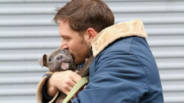 Tom Hardy: Έσωσε μια αγέλη από αδέσποτα κουτάβια