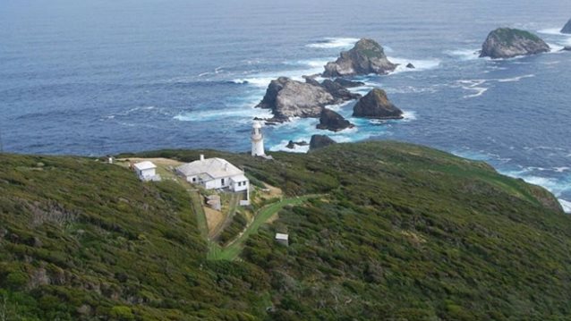 Γίνε Εσύ Survivor: Θα τα παρατούσες όλα για να ζήσεις στον παράδεισο χωρίς internet και TV για έξι μήνες;