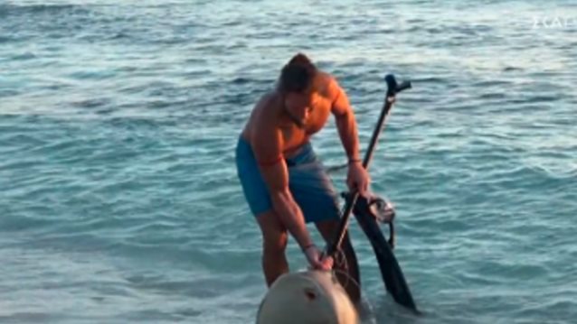 Survivor All Star | Tσίκνισμα... με σαλάχια και καρύδες