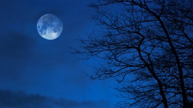 Νέα Σελήνη στο Ταύρο: Πώς επηρεάζει όλα τα ζώδια;