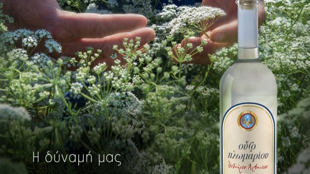 Ούζο Πλωμαρίου | Το Λισβόρι της Λέσβου ήδη μοσχοβολά γλυκάνισο