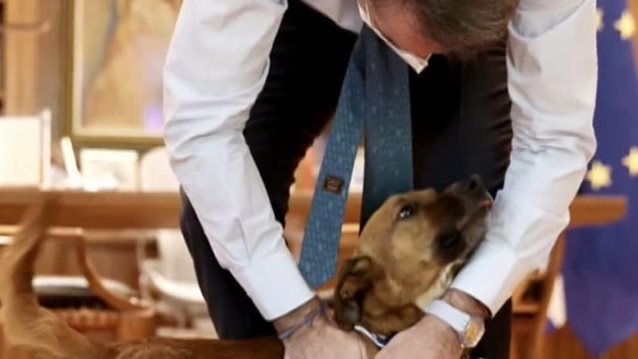 Κυριάκος Μητσοτάκης: Επιστροφή στο Μαξίμου με τον μικρό τετράποδο φίλο του, Peanut