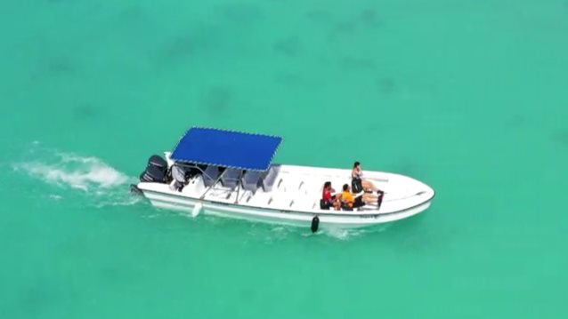 Survivor | Η άφιξη των νέων παικτών στον Άγιο Δομίνικο!