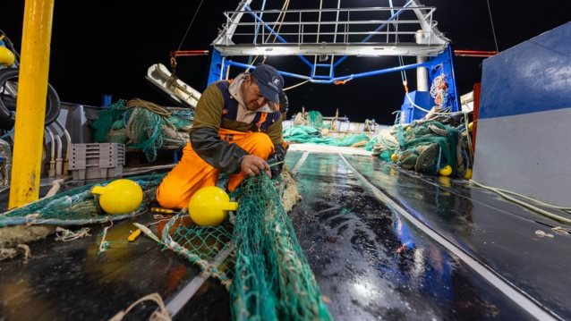 Ο ακήρυχτος &quot;Πόλεμος της Τσιπούρας&quot; στο Prime Time του ΣΚΑΪ