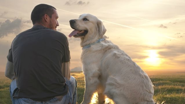 Τελικά, πόσες φορές την ημέρα πρέπει να ταΐζεις τον σκύλο σου;