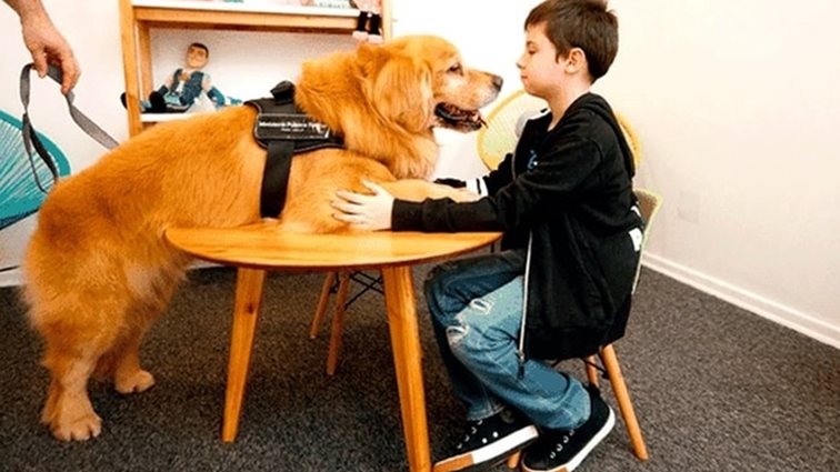 MamaPost by The Mamagers: «Ο Τιτάν είναι ο πρώτος σκύλος θεραπευτής για κακοποιημένα παιδιά»