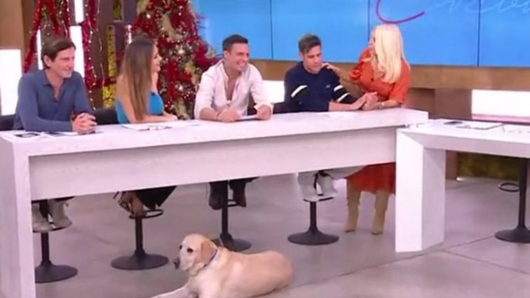 Η απολαυστική συζήτηση στον αέρα της "Ελένης" μετά τις εκλογές του ΠΑΣΟΚ