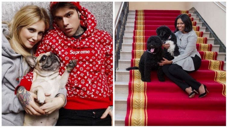 Παγκόσμια Ημέρα Ζώων 
: Οι διάσημοι και τα αγαπημένα τους κατοικίδια
