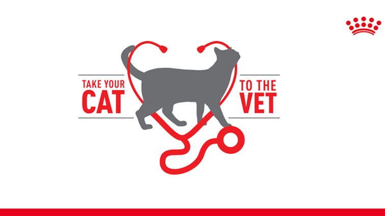 Royal Canin: Ευαισθητοποιεί τους ιδιοκτήτες γατών μέσω της καμπάνιας Take Your Cat to the Vet