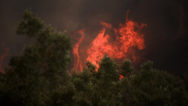 Νέα μεγάλη φωτιά στα Βίλια - Εκκενώνεται προληπτικά ο οικισμός της Κάζας