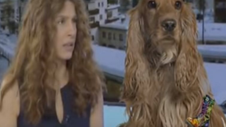 Ράδιο Αρβύλα: Το ξεκαρδιστικό σχόλιο για την Πόπη Τσαπανίδου: Δείτε το!