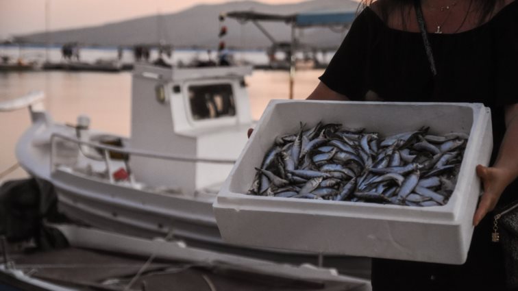 Η Γιορτή Σαρδέλας Καλλονής επιστρέφει και φέτος για 41η χρονιά!