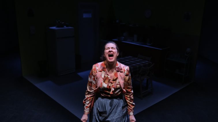 Πρεμιέρα για την "Σίρλεϊ" και το "Κάποιος μιλάει μόνος του κρατώντας ένα ποτήρι γάλα" στο Θέατρο του Νέου Κόσμου