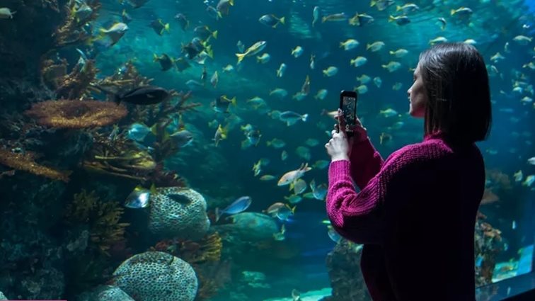 Για μια συναρπαστική κατάδυση… στο μοναδικό ενυδρείο της Αθήνας!