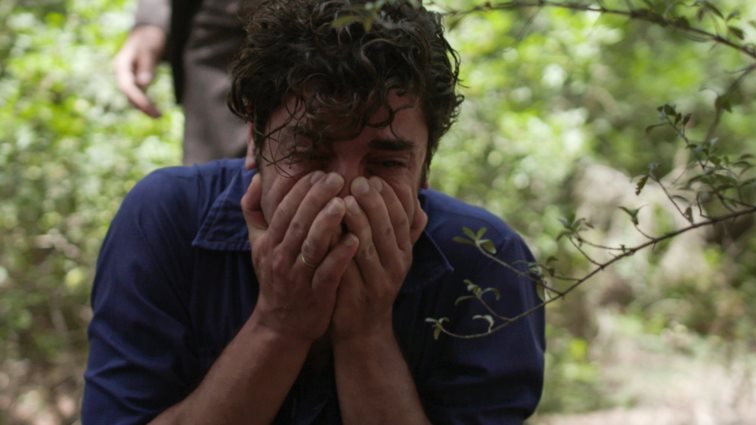 Άγριες Μέλισσες | Τα τελευταία επεισόδια - Αυτό είναι το μεγάλο φινάλε της σειράς του ΑΝΤ1