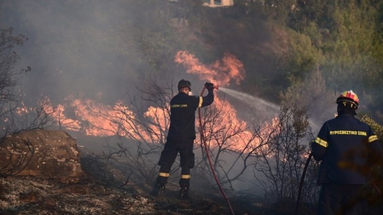 Φωτιά στην Αττική: Θρήνος για την 65χρονη που κάηκε μέσα σε βιοτεχνία στο Πάτημα Χαλανδρίου - &quot;Χάσαμε τη Νάντια&quot;