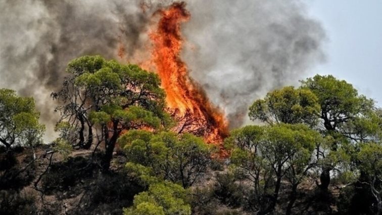Πυρκαγιά στη Νέα Μουσινούπολη Ροδόπης: Ήχησε το 112 για ετοιμότητα των κατοίκων