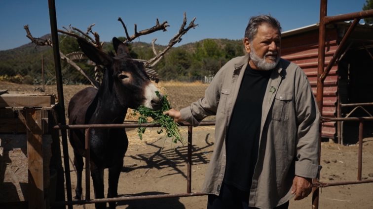 Διπλή "Γη της Ελιάς" απόψε - Ο Λυκούργος θύμα μπράβων της νύχτας!