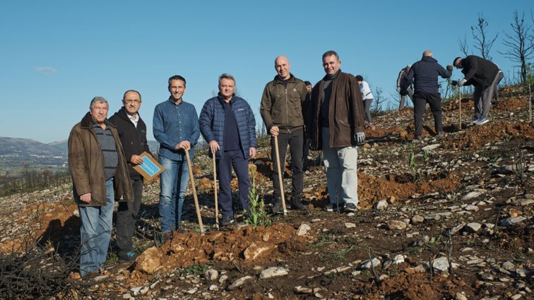 &quot;Παπαστράτος&quot; | Φυτεύει 70.000 δέντρα και αναλαμβάνει τη φροντίδα τους σε πυρόπληκτες περιοχές της Αττικής