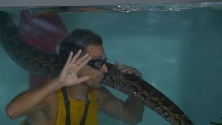 "I'm a Celebrity, get me out of here": Ποιος παίκτης αποχώρησε μετά τη σημερινή δοκιμασία