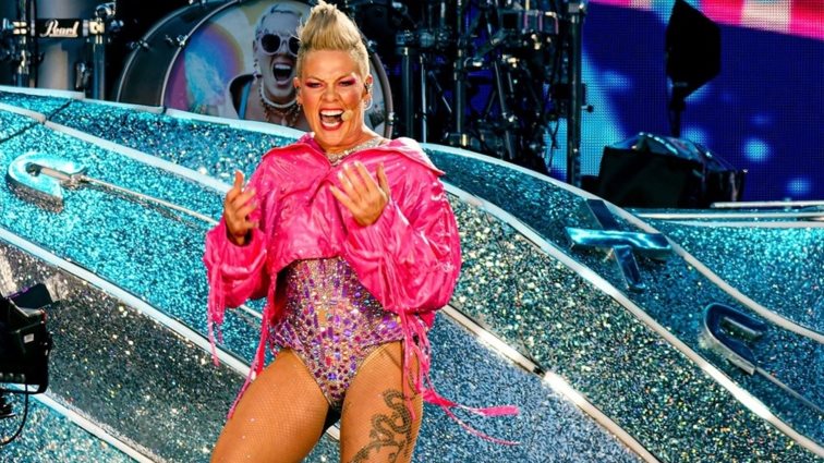 Fan πέταξε τις στάχτες της μητέρας του στην Pink κατά τη διάρκεια συναυλίας
