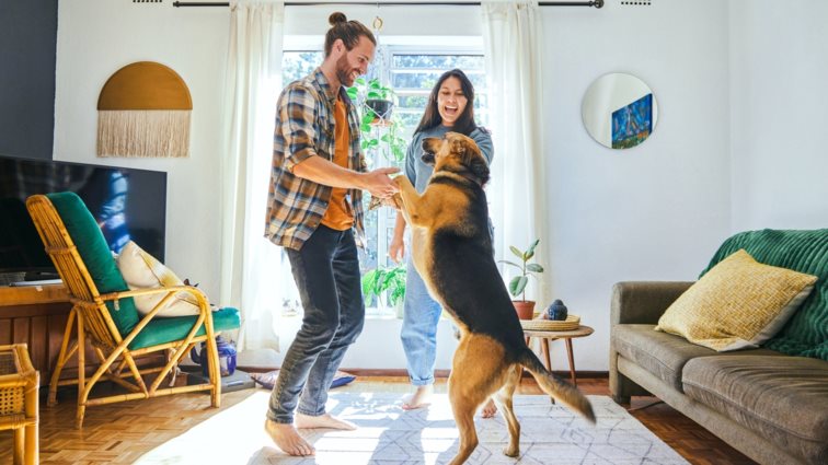 My Pet My Home: Ενέργεια για ό,τι νιώθεις οικογένειά σου