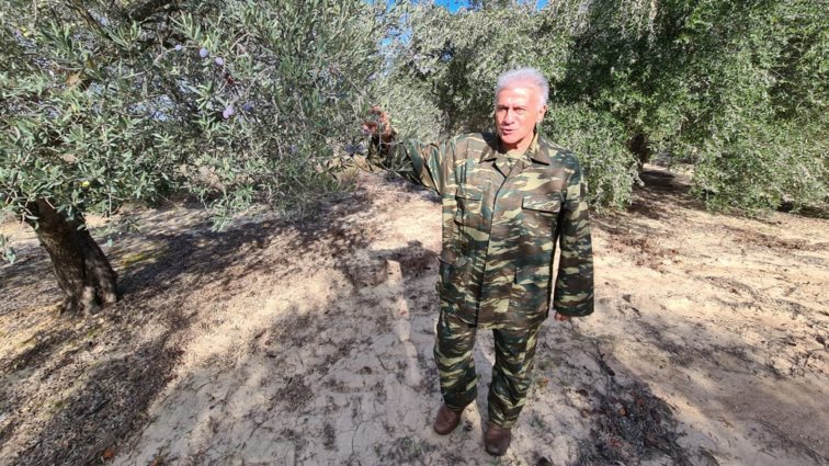 Έκπληξη! Ο Παναγιώτης Ψωμιάδης μπαίνει στη "Φάρμα" του ΑΝΤ1