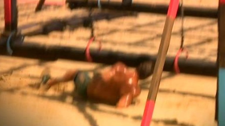 Survivor