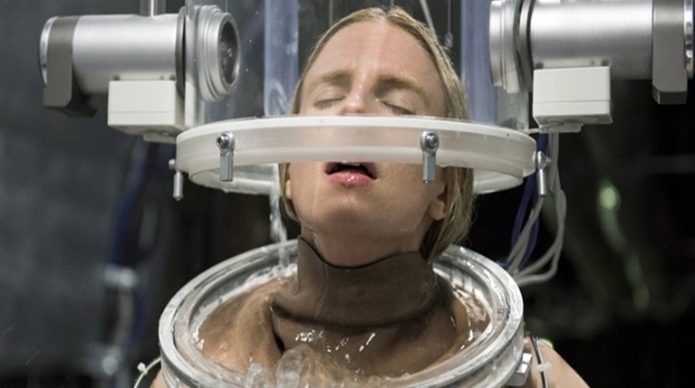 The oa