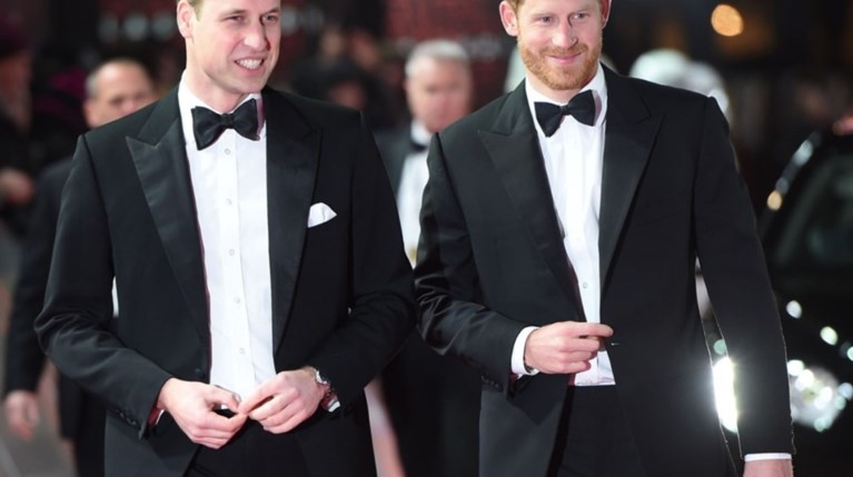 Πρίγκιπας William και πρίγκιπας Harry