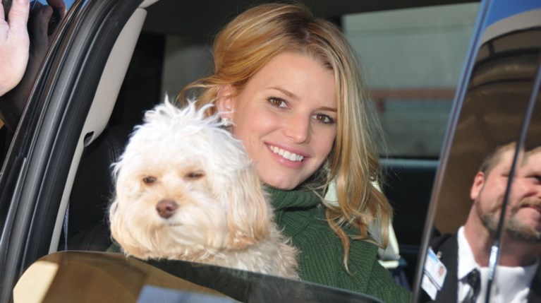 Τζέσικα Σίμπσον-Daisy