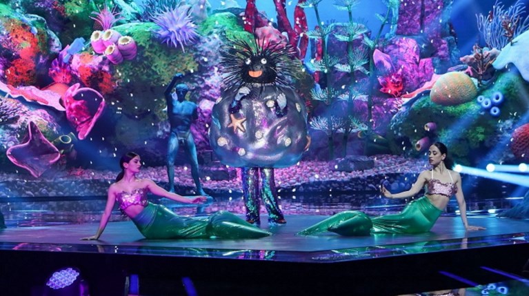 The Masked Singer Αχινός