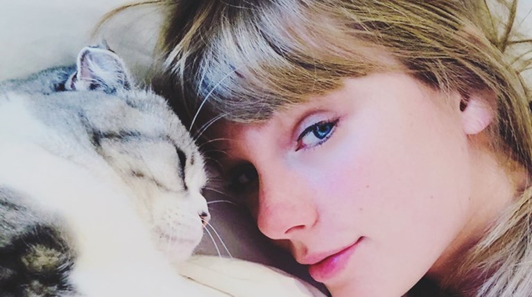 Taylor Swift γάτες