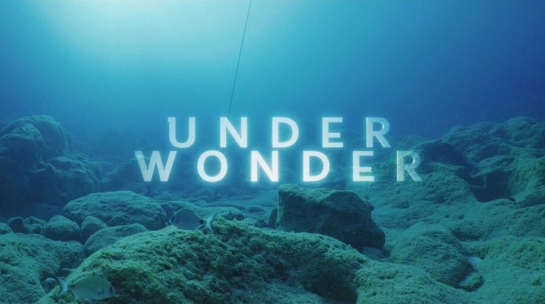 UNDERWONDER